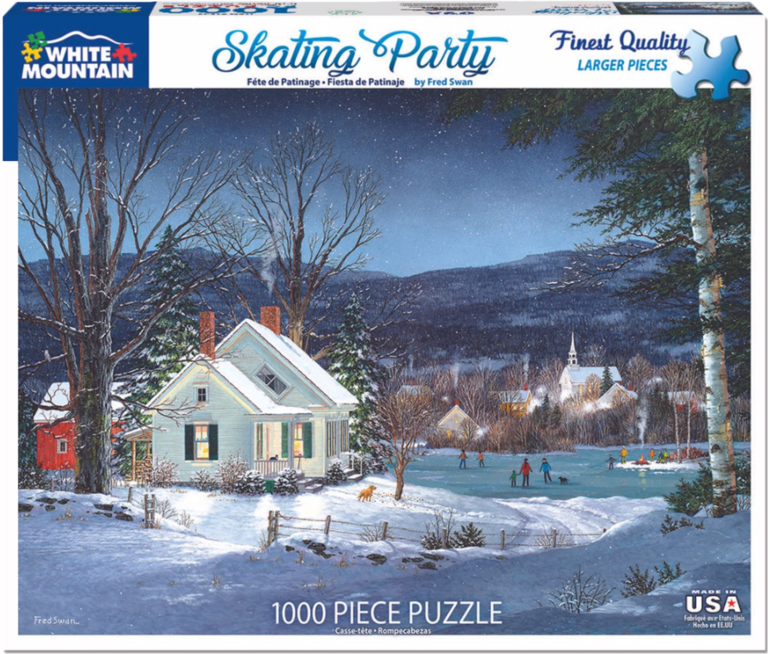 Skating Party Puzzle