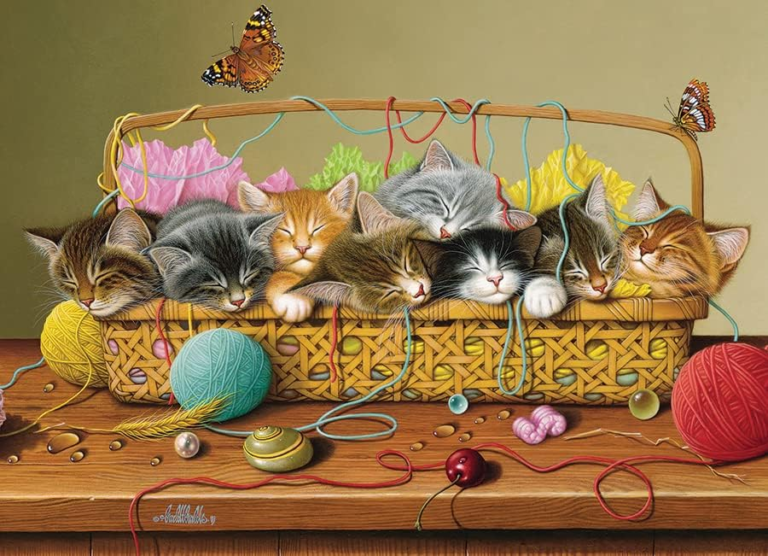basket cats
