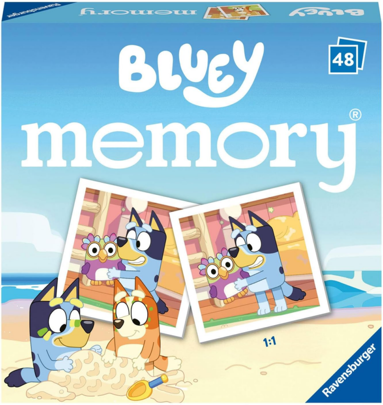 Card Game. Bluey Memory