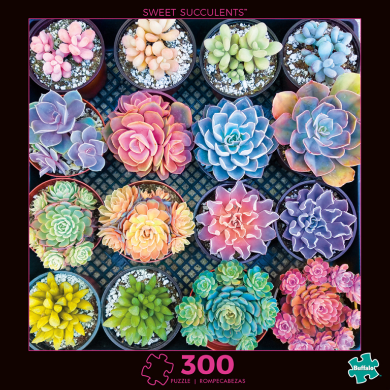 Buffalo. Sweet Succulents. 16 colorful succulent plants.