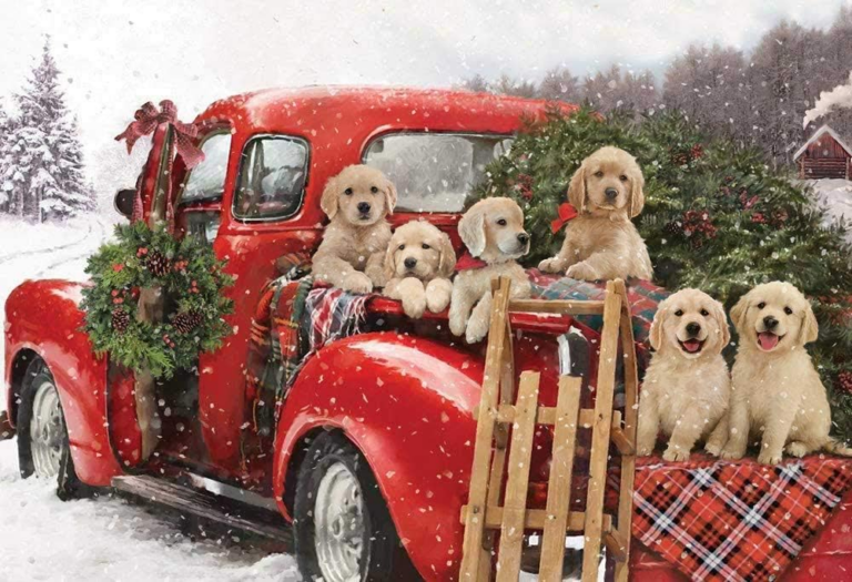 Golden Puppies in a vintage red truck with a Christmas tree.